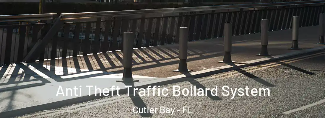  Anti Theft Traffic Bollard System Cutler Bay - FL