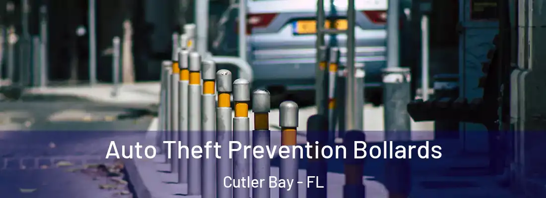  Auto Theft Prevention Bollards Cutler Bay - FL