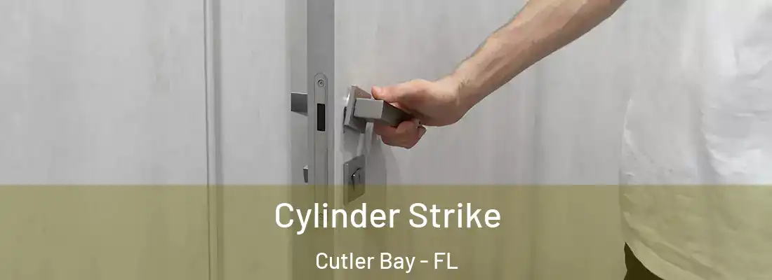  Cylinder Strike Cutler Bay - FL