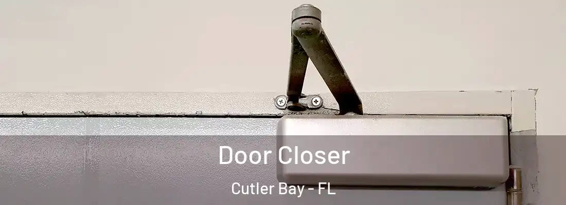  Door Closer Cutler Bay - FL