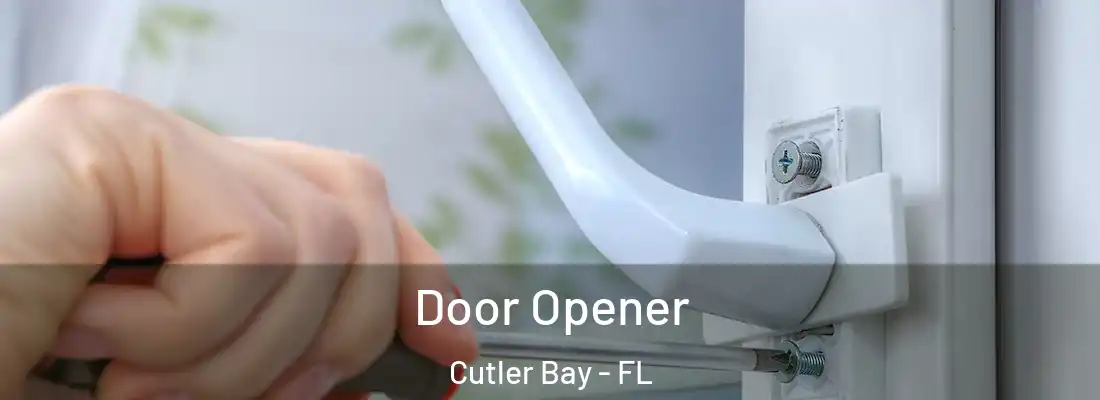  Door Opener Cutler Bay - FL