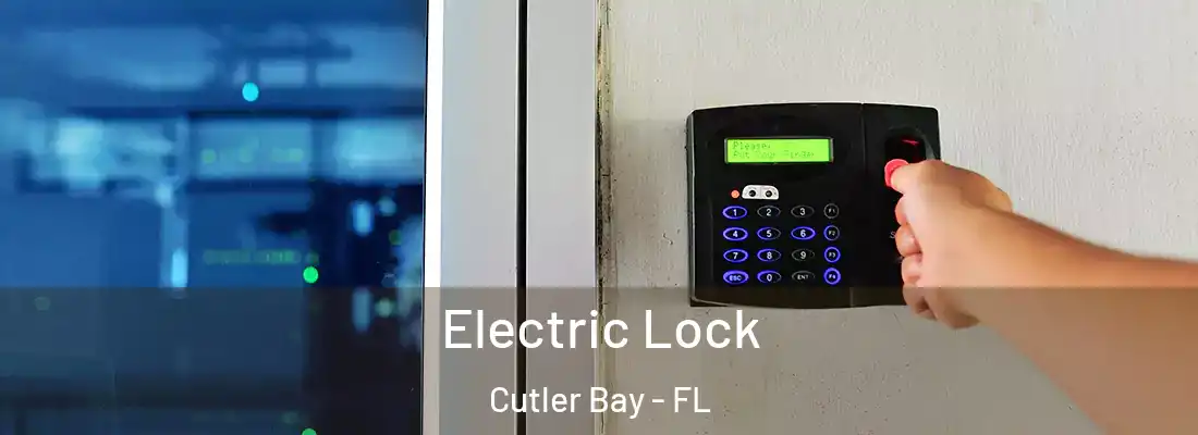  Electric Lock Cutler Bay - FL