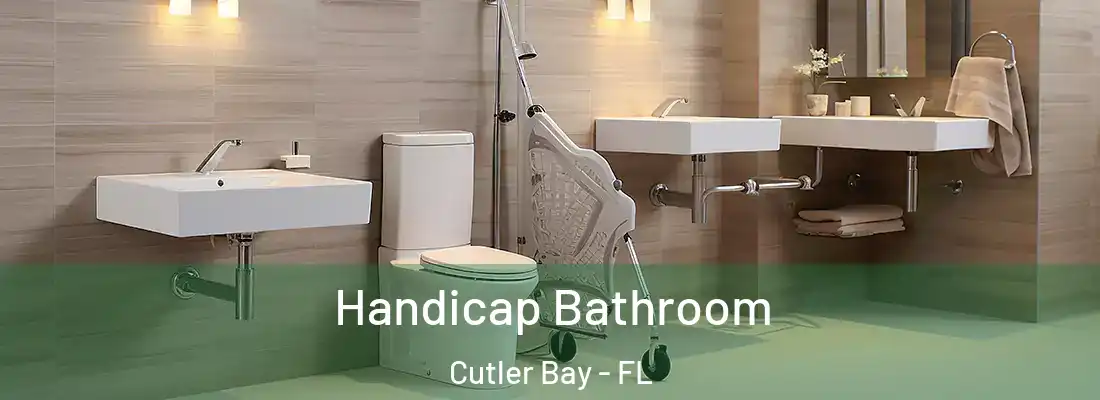  Handicap Bathroom Cutler Bay - FL