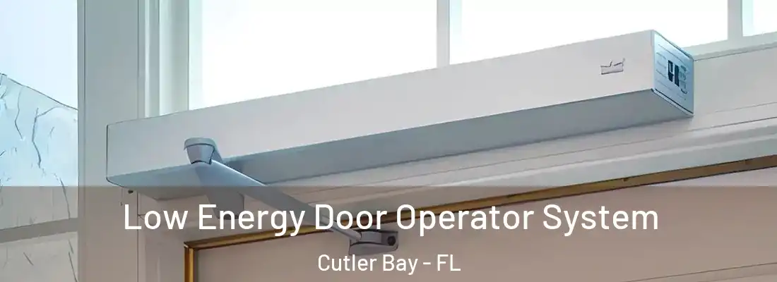  Low Energy Door Operator System Cutler Bay - FL